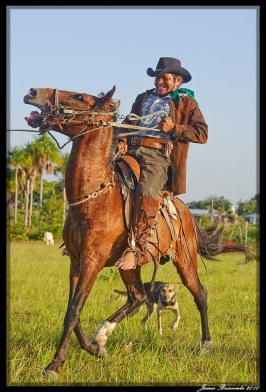 Image result for breaking a horse