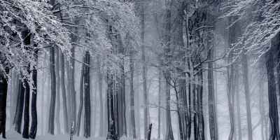 Free for personal and commercial use, no attribution required.