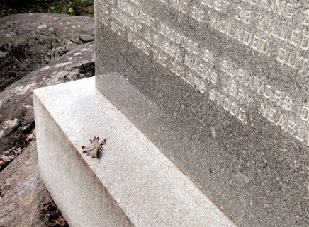 a leaf on a Civil War monument