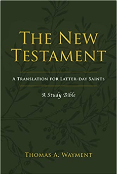 Thomas Wayment's Study BIble for Latter-day Saints is amazing!