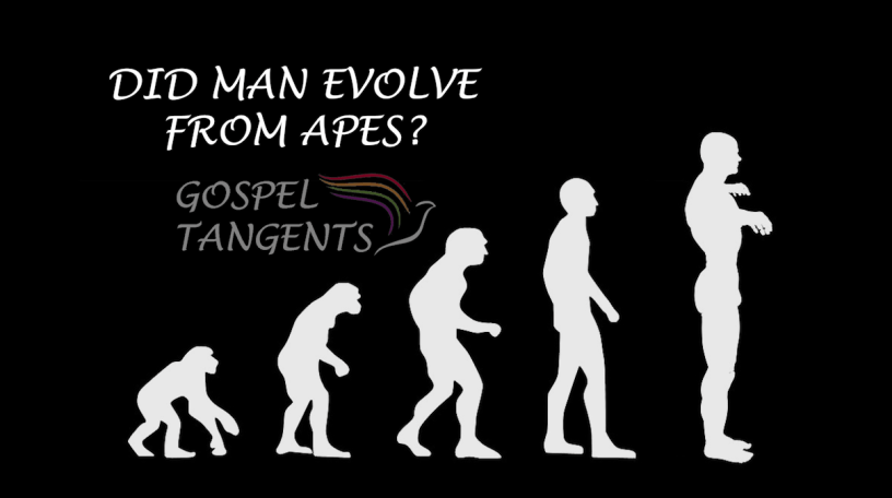 Did Man evolve from apes, or from the dust of the earth as the Bible says? Can/should these be reconciled?