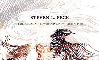 illustrated book cover for Steven L. Peck's The Tragedy of King Leere