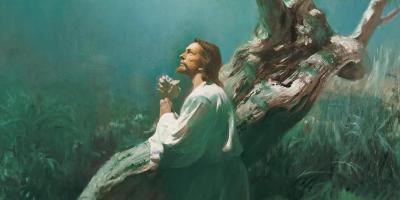 Oil panting of Jesus Christ praying next to an olive tree in the Garden of Gethsemane